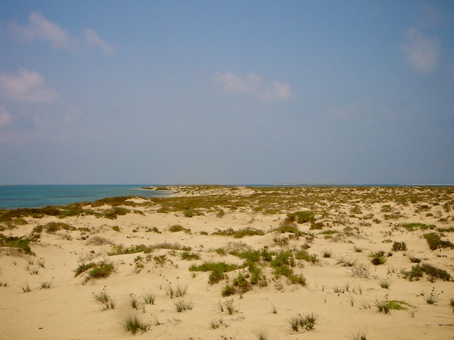 Sudan Island